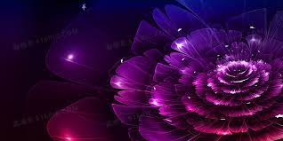 Different dreams, the same bloom.