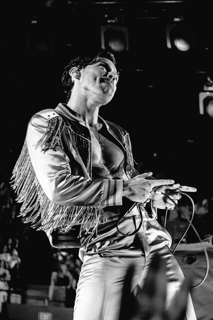 ✨Disco🪩 Occasionally✨ tweet media