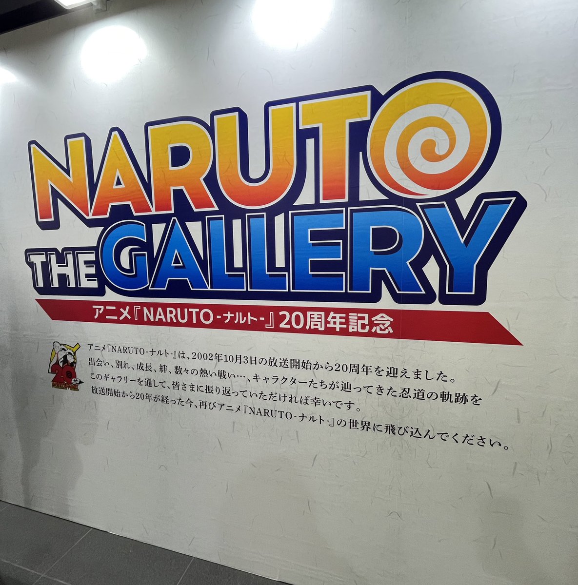 メール便対応! NARUTO THE GALLERY ギャラリー 受注生産 図録