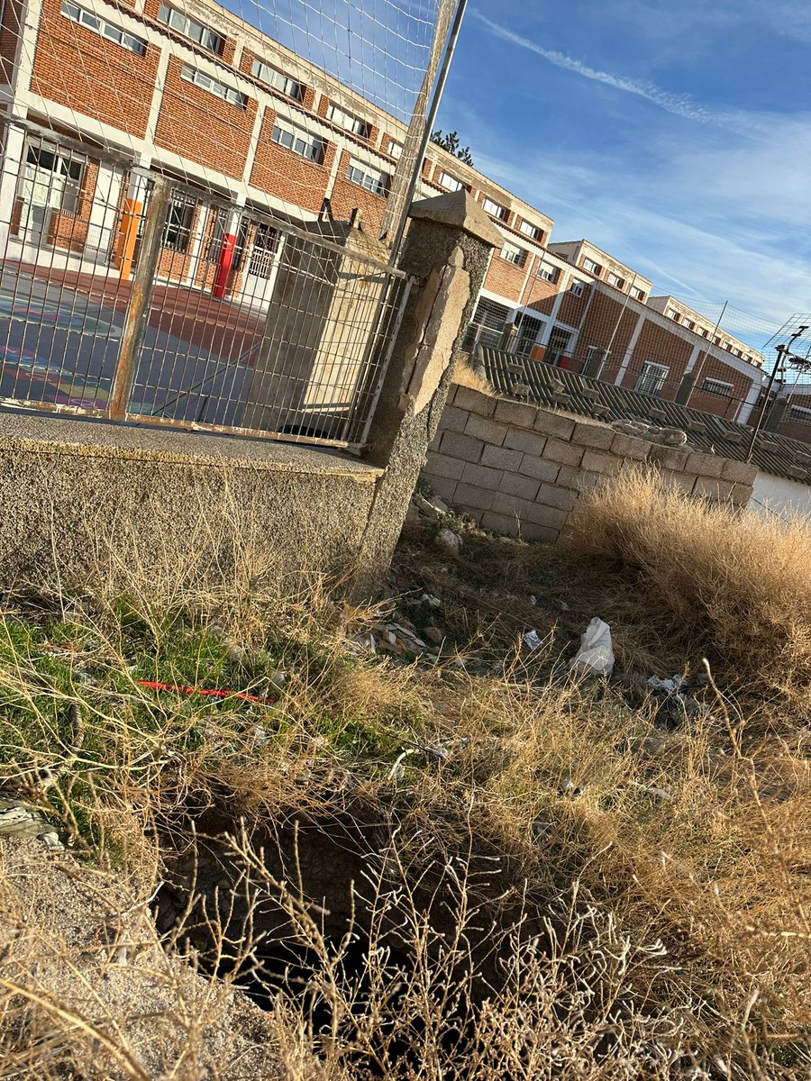PsoeGranada's tweet photo. 📢@PSOECaniles reprocha a la alcaldesa (CxA) su inacción para evitar posibles daños en el patio del CEIP Juan XXIII

❌ El Ayuntamiento no actúa pese a contar con informes de la inspección de Educación y escritos de vecinos y vecinas del municipio

https://t.co/7lmFkmu4WH https://t.co/quaJvNlT0h