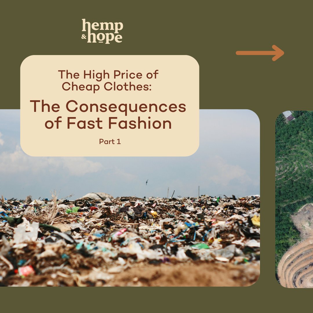 HempandHope's tweet photo. The consequences of fast fashion... is it worth it?

#ecofriendly #zerowasteliving #sustainability #lessplastic ##ecofriendlyproduct #ecofriendlyclothing #ecofriendlydesign #ecofriendlybag #ecofriendlybags #ecotips https://t.co/J6iu81JSPq