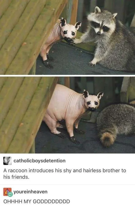 WholesomeMeme's tweet photo. https://t.co/0WEVHqZy8L