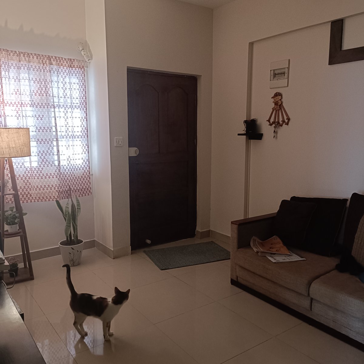 Pulkit Mehrotra tweet media