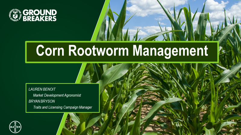 LaurenDalyce's tweet photo. ..Did I hear there's a new rootworm trait coming to market⁉️ Tune in to Bryan and I at 10:00 EST for all the details 🌽🪱 https://t.co/q9TvoYnJXh