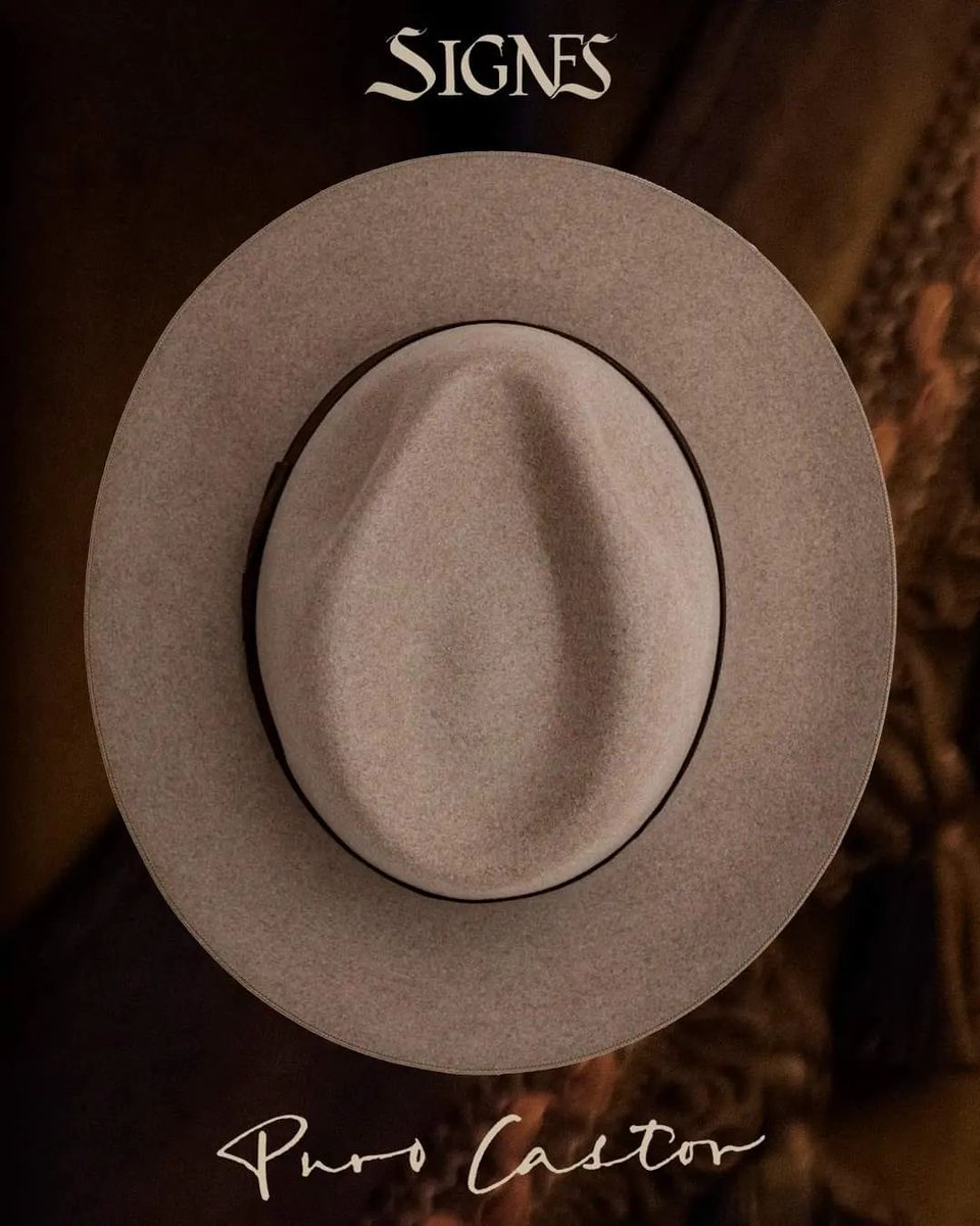 SignesHats's tweet photo. El Trilby es un icono dentro de los sombreros, llegándosele a conocer como “El Sombrero del Gentleman”. Su ala flexible y más corta lo hicieron muy popular en las carreras de caballos británicas, y posiblemente lo hemos reconocido en películas como James Bond.

#SingesHats https://t.co/q1EiUyhnRX