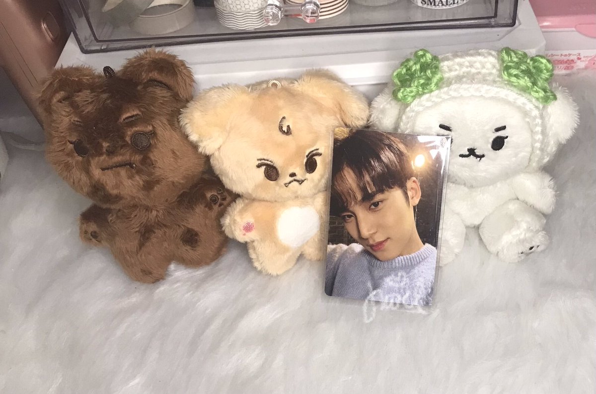 gyullects's tweet photo. κ° #gyullection .. π κ±
β° from @323box β‘
hellooo po! these cuties arrived safely already! tysm po for the assistance and for the vvv smooth and fast transaction !! canβt wait for my other items π₯Ή
β #from323 π«°πΌ https://t.co/E82OsOhsDq