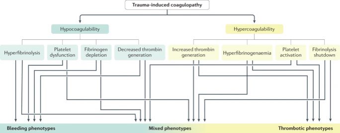 drshahrul80's tweet photo. Trauma-induced coagulopathy | Nature Reviews Disease Primers

🔗 https://t.co/WSjs0RhoT7
￼#FOAMcc #ACOTS #MedEd #CriticalCare #FOAMed #MedEd #EMCCM #TraumaResus #DamageControlResus #DamageControlSurgery https://t.co/DkfnDwLVcB