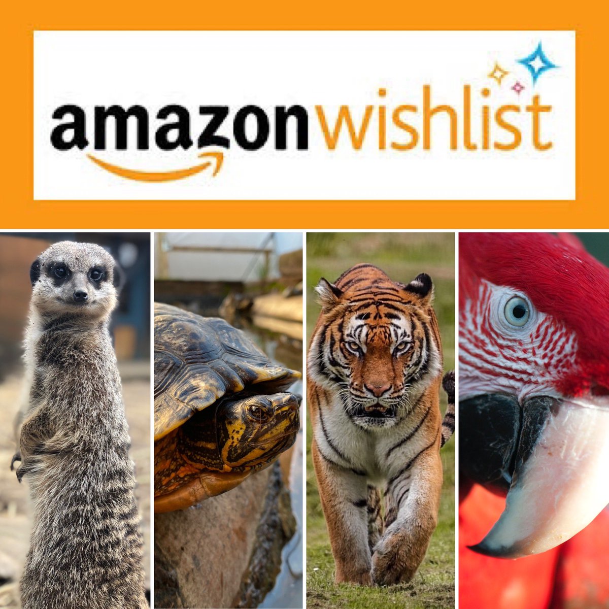 ⭐️New items added⭐️
Check out our #Amazon #wishlist to buy your favourite animal or bird a #gift 
Click the link to take a l👀k ⬇️
amazon.co.uk/hz/wishlist/ls… 

#LincsConnect #Lincolnshire #skegness #sanctuary #charity #lincswildlifepark #parrots #animals