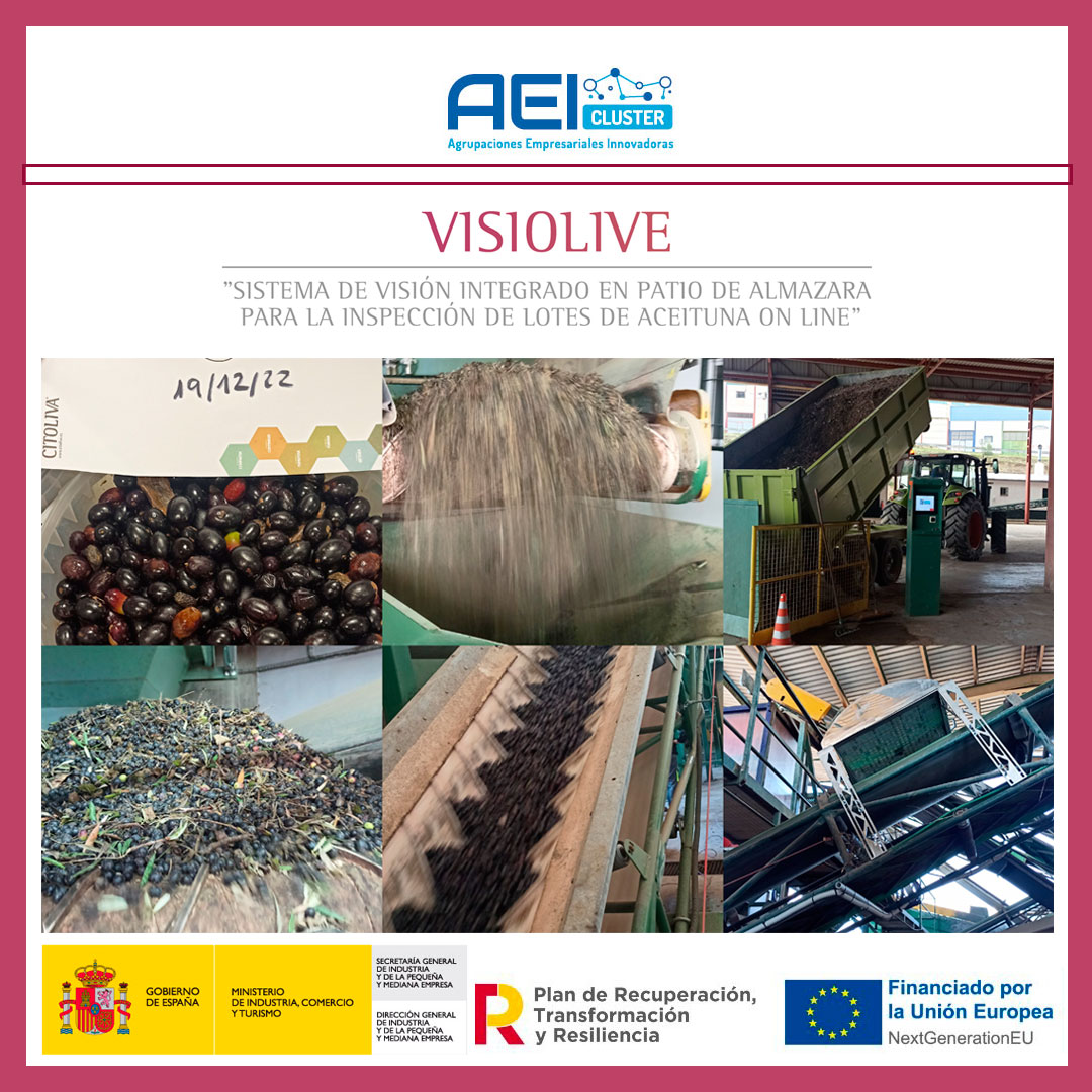 🔴⚫️💻 #ultimahora I💻🚜🫒#visiolive 

✍️Muestreo de validación en <a href="/CamposdeBiatia/">Campos de Biatia AOVE</a> #torreperojil #sabioliva

🎯Objetivo: desarrollo de un sistema que cuantifique la suciedad de la aceituna en el patio de la almazara
🫲Socios: #inoleo - gestionada por <a href="/citoliva/">citoliva</a> <a href="/interoleo/">InterOleo Group</a> #ISR