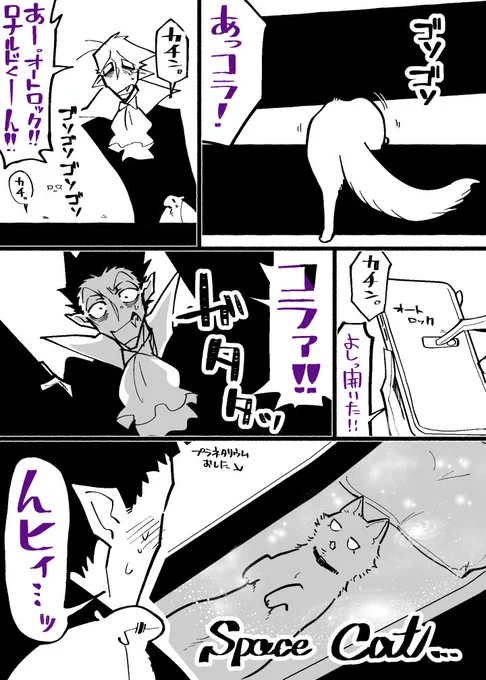 読しぬやつ猫=^・ω・^=いきなり明るくなってびっくりしてた 