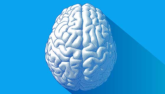 144Health's tweet photo. Parkinson's

[..] the true foundation of #Parkinson’s is the toxic heavy #metals mercury, aluminum, and copper interacting with each other in the brain and #oxidizing there, causing corrosive runoff that spreads into adjacent connective tissue in the brain. [1/3] https://t.co/umvG8WqNoK