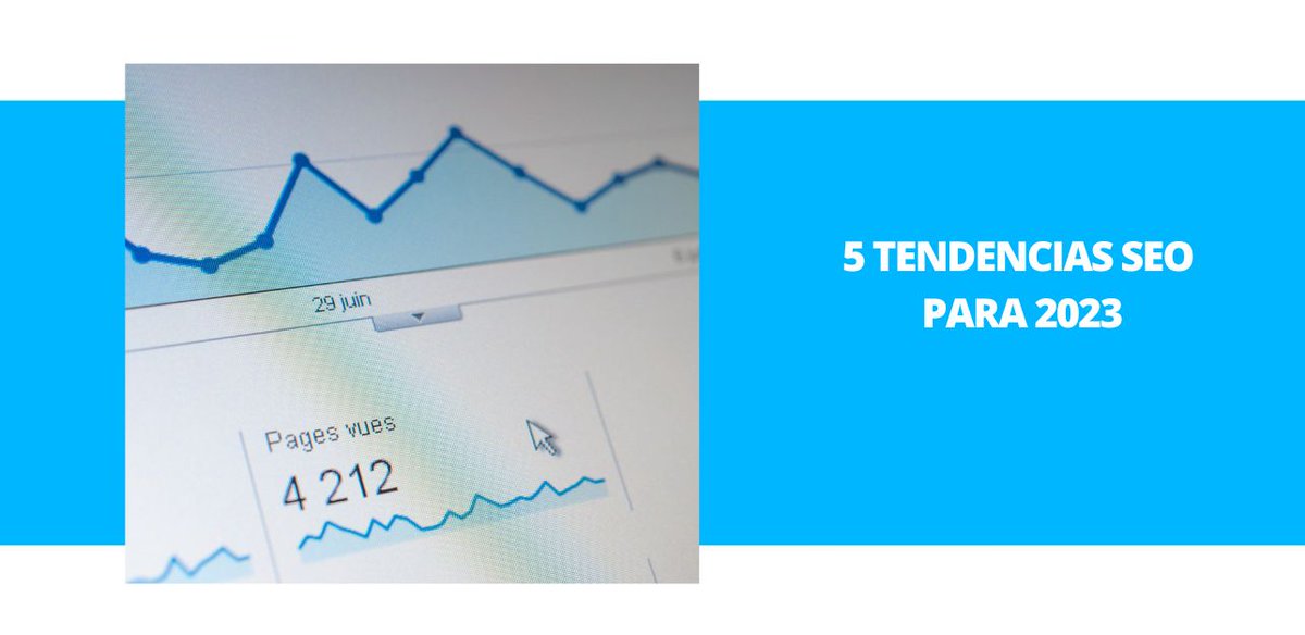 illusion Studio tweet media