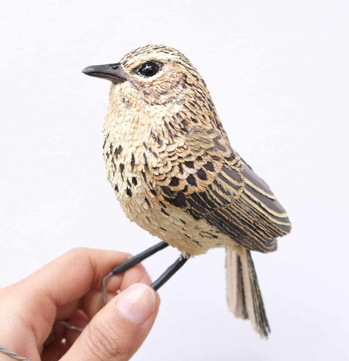 Here’s our 9th poser from the Shola skyislands #Nilgiripipit  I have never had to strain myself as much to paint a bird , this was heavily challenging !#avesindia #wildlife #birds #papersculpture follow me on Instagram to see more of my work instagram.com/paperchirrups/… <a href="/vvrobin/">V. V. Robin</a>