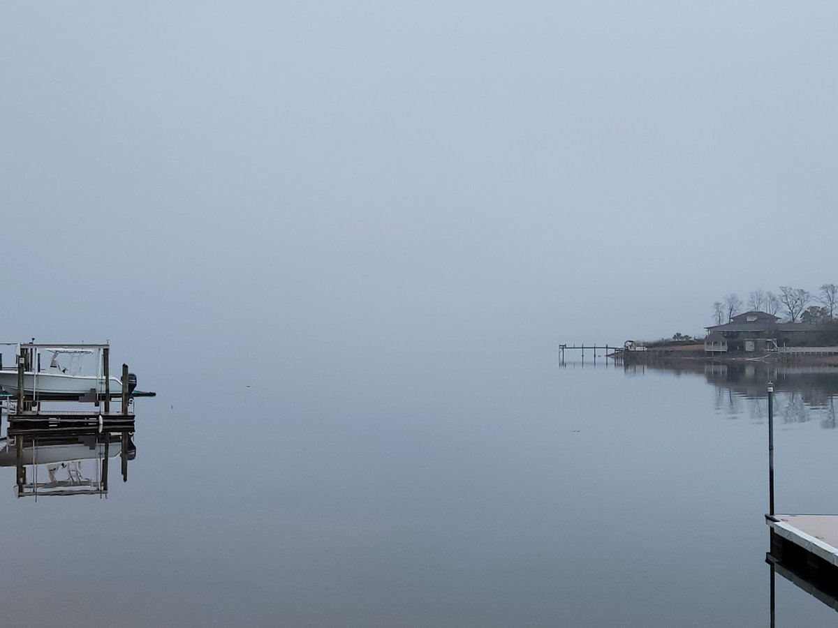 Human Nerve Ending tweet media