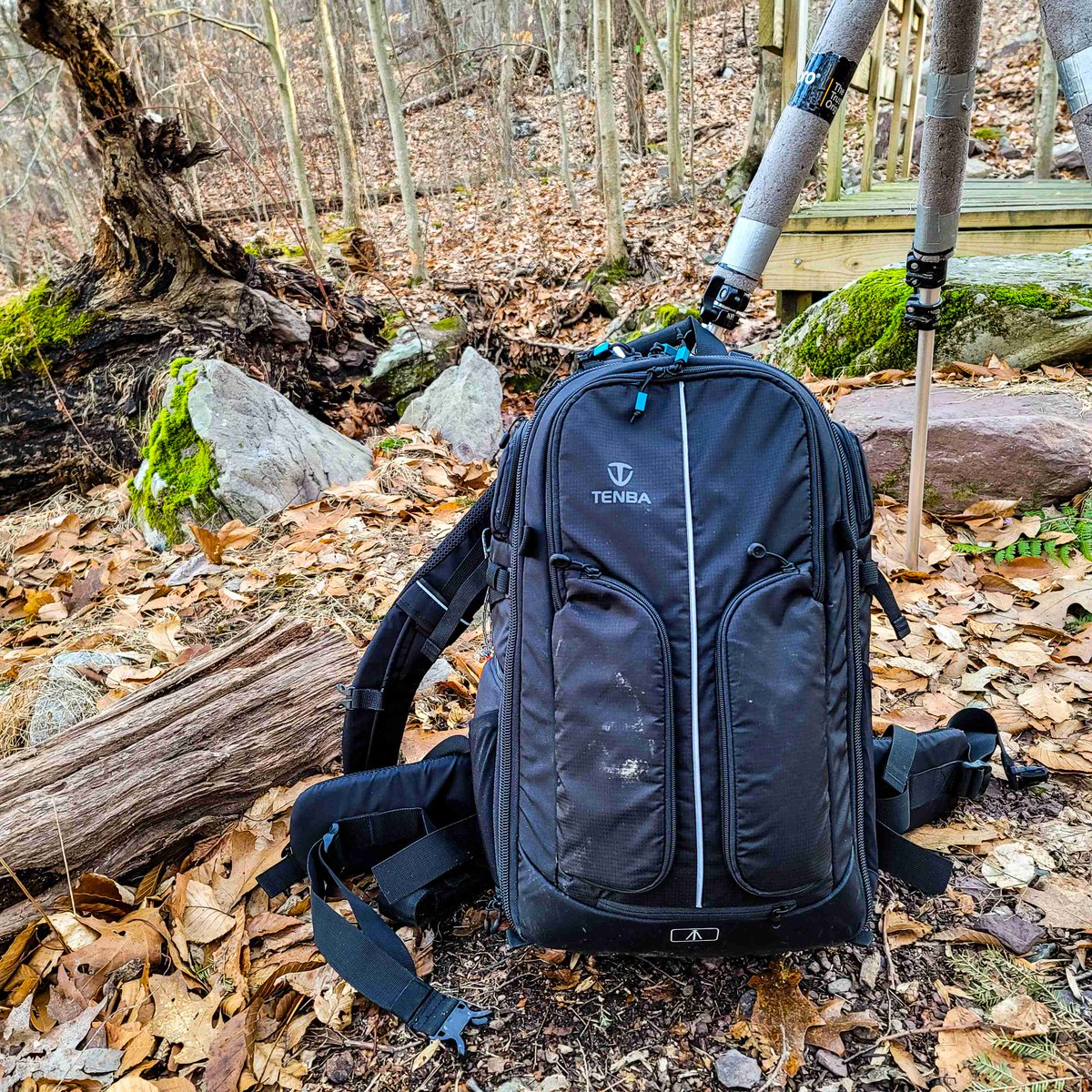 AdamPolinger's tweet image. There is no better way to re-energize myself then to spend a few hours in nature. 
#landscape #landscapephotography #photography #nature #getoutside #explore #photographer #photographerslife #camerabag #tenba #cameragear #newjersey  #DWG #delawarewatergap