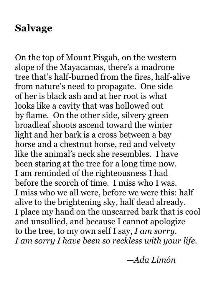 Joseph_Fasano_'s tweet photo. Today's Poetry Thread: APOLOGIES

This is one of my new favorite things on earth.  Feel free to add poems. https://t.co/YKMLfhMO03