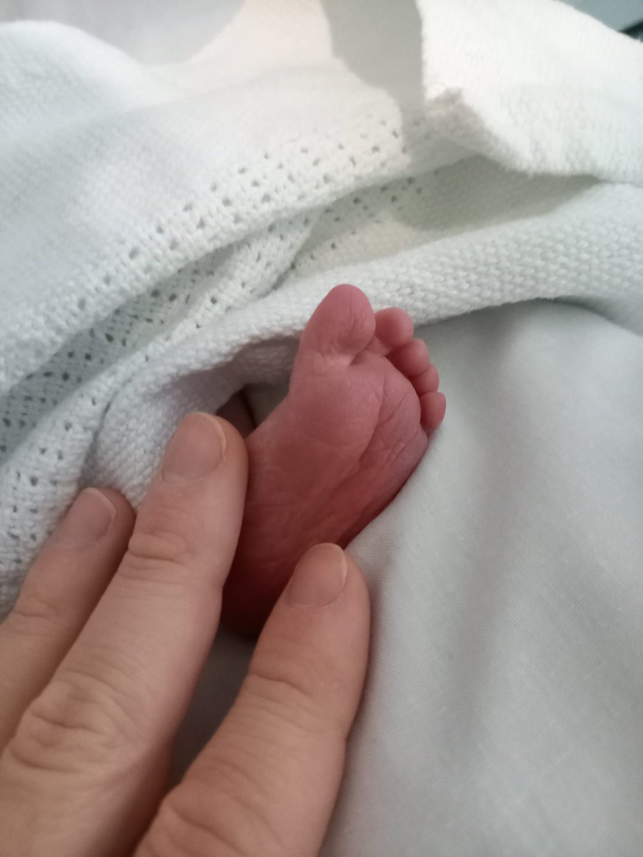 Ed Shepherd tweet media