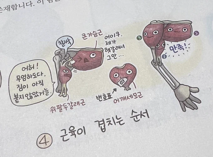 ㅋㅋㅋㅋ인체 공부해보려고 묵혀놨던 책을 폈는데 근육들이 너무 귀엽다 ㅋㅋㅋㅋ
저 안에 들어가서 만족한 것도 웃기고 어깨세모근 멍충하게 번호표 물고있는 거 봐ㅠㅠ 