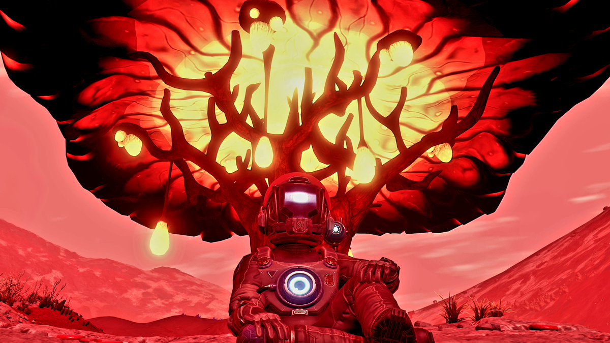 straymanssky's tweet photo. #NoMansSky #HelloGames #VirtualPhotography https://t.co/nuYhB129yK