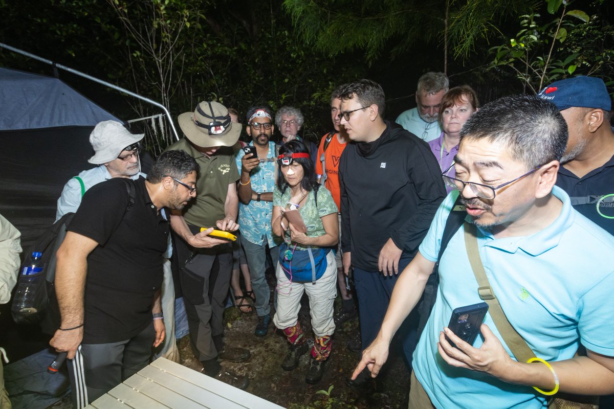 Checking bat sound recordings during the night excursion of  the bioinspiration & biodiveristy workshop. Photo: Hanyrol.