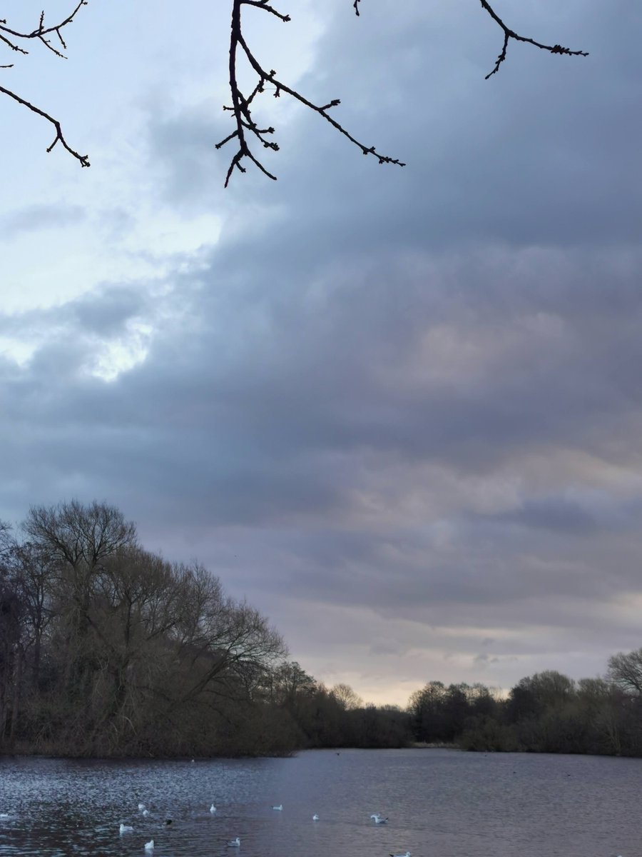 Shells_Travels's tweet photo. Lovely start to the day. I got up 2 hours early and went to the gym and even found time to stop off, chill out and watch the birds on my way home, ready to start work.

#gratitude #reversecommute https://t.co/NKv65hE85s