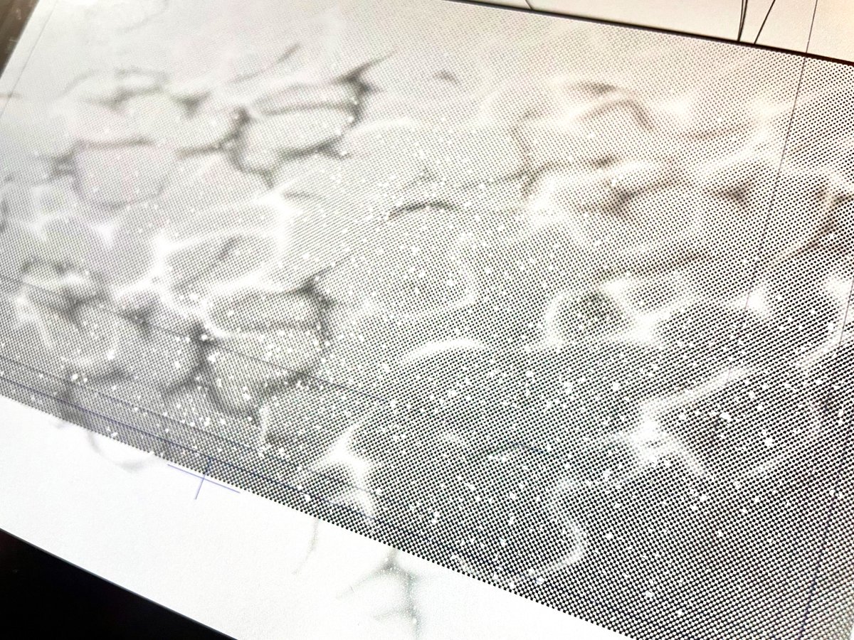 この「無料ブラシとトーンで錬成した海っぽい何か」で、こまごましたコマたちを埋めて何とかしようとしてる https://t.co/mW71cUkOeL