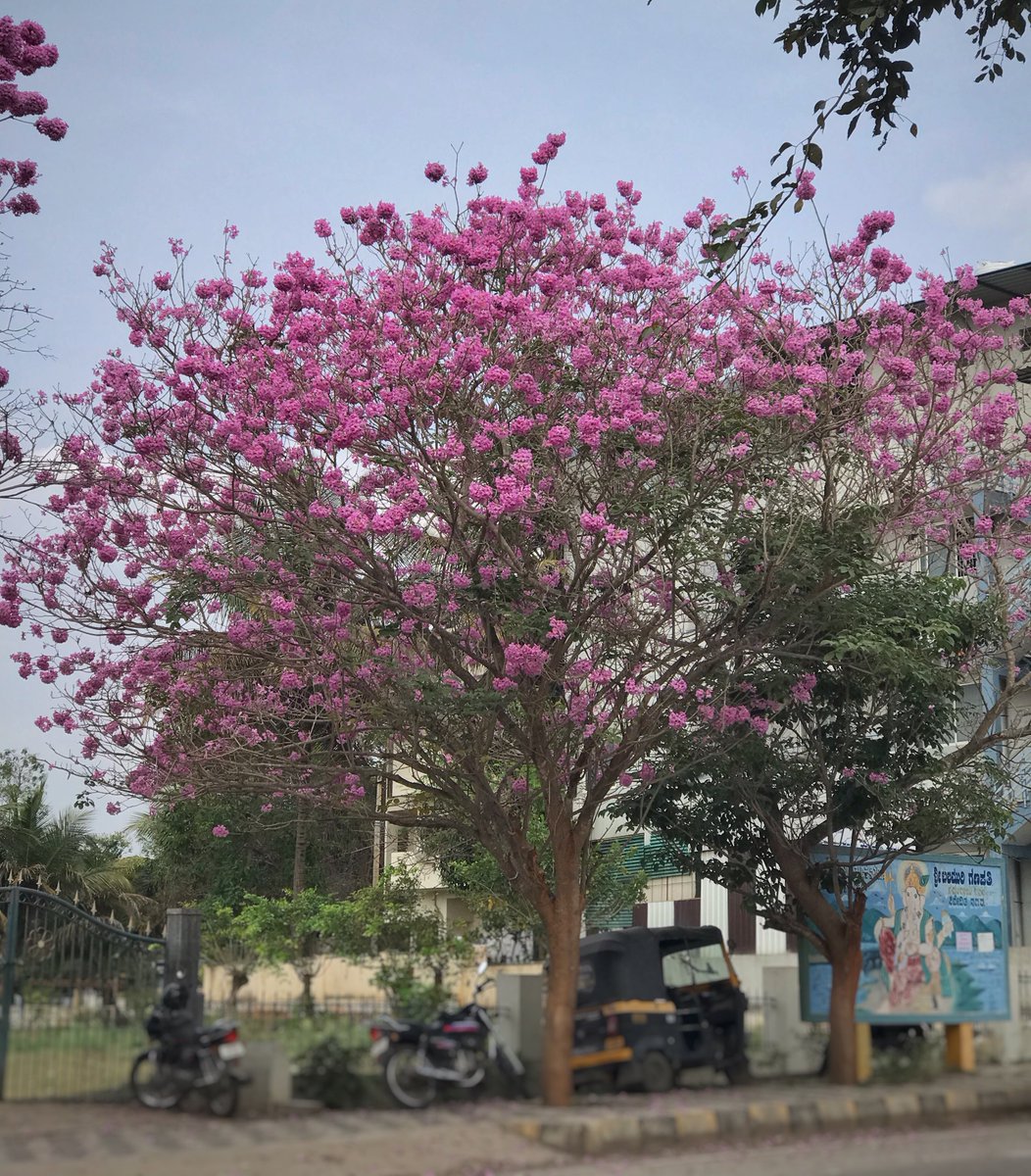 ರವಿ ಕೀರ್ತಿ ಗೌಡ tweet media