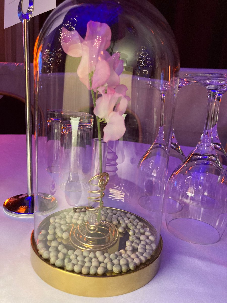 The giant pea rolled from <a href="/brnoregion/">brnoregion</a> to #Vienna to <a href="/SciBall/">DpSyco</a>. Spectacular scientific social event🟢 Thanks @ViennaLehmann, for the invitation! And the mendelian theme of the ball was just perfect😀
Go #Genetics!
<a href="/drbfischer/">Barbara Fischer</a> @drlynnchiu <a href="/MuMendel/">Mendel Museum MU</a> <a href="/PardyFilip/">Filip Pardy</a>