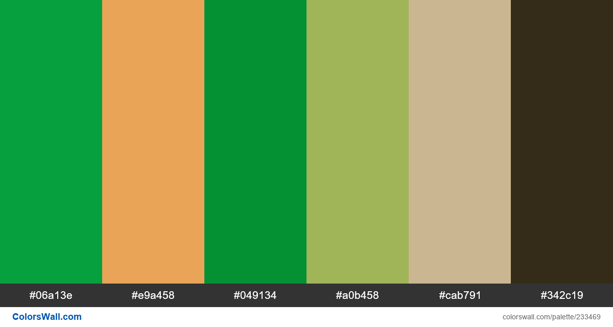 Detail page delivery green orderfood colors #06a13e, #e9a458, #049134, #a0b458, #cab791, #342c19 #colors #palette colorswall.com/palette/233469