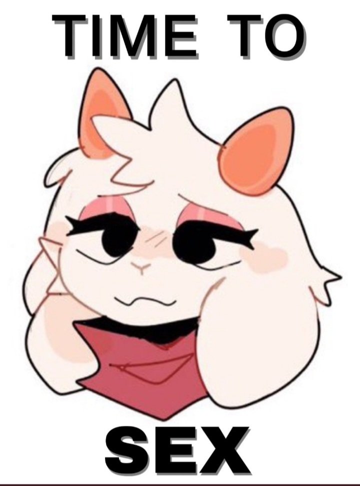 LocalFloofPrinc's tweet photo. https://t.co/pZC3UFugia