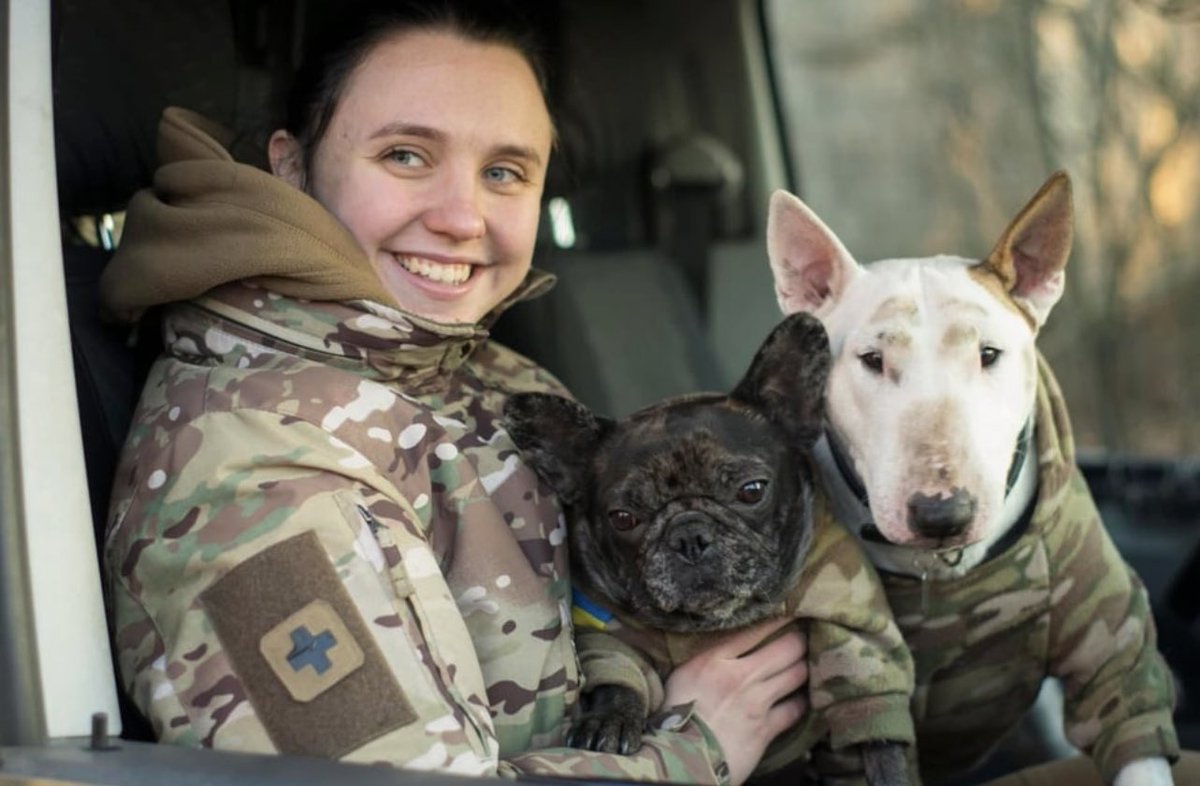 vic_010100's tweet image. Pepa und Luna wurden in Bakhmut #Ukraine gefunden und helfen jetzt den 🇺🇦 Sanitätern. 
„Wenn die Sanitätern irgendwo hin fahren müssen, springt Pepa rein und tut so, als würde sie das Auto fahren.” 💙💛
#Ukraineanimals 
#HelpUkraineNow
