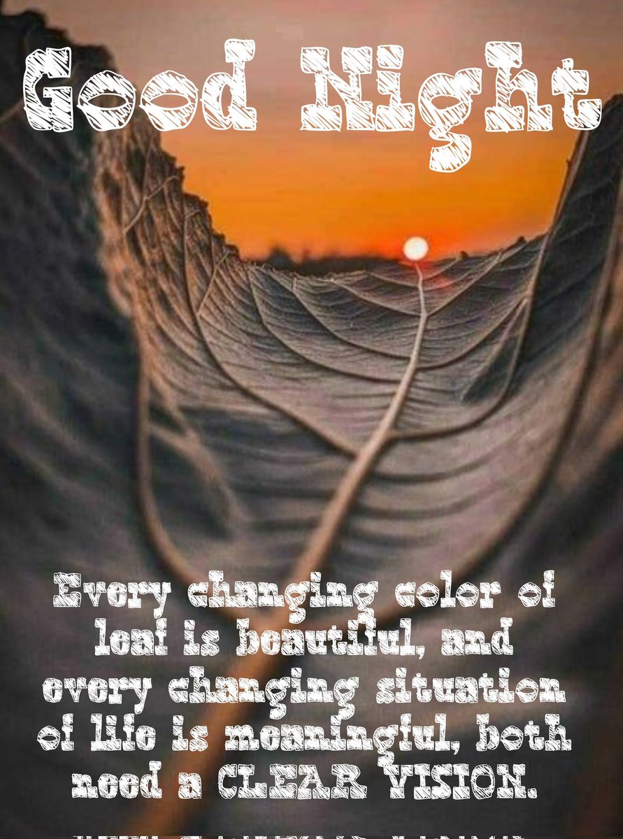 JayaChandrika14's tweet photo. GOOD NIGHT 🥱😴🌉🌌💤💤💤 https://t.co/uyF6aBTOFS