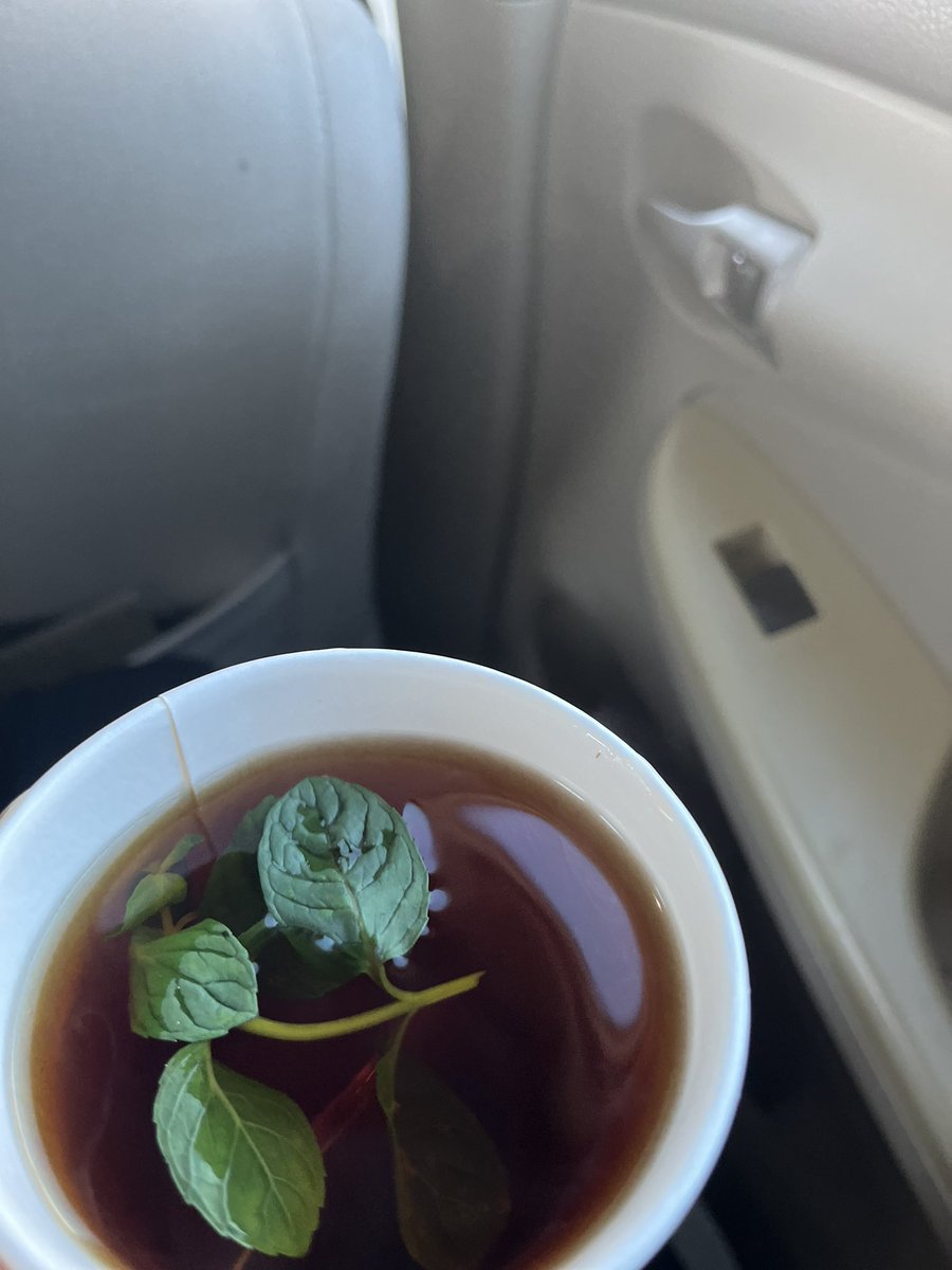 أحياناً نلقى الهدوء في كاسة شاي..