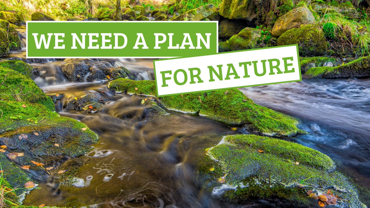The Conservation Volunteers (TCV) (@tcvtweets) on Twitter photo Great to see new species recovery funding in Environment Improvement Plan👍
But to fix the nature crisis we need more than a flash in the pan🌱
<a href="/Jeremy_Hunt/">Sir Jeremy Hunt MP</a>'s #SpringBudget must set out long-term investment to halt #nature’s decline 🪙
Read more👇
wcl.org.uk/reaction-to-en… PRT Great to see new species recovery funding in Environment Improvement Plan👍
But to fix the nature crisis we need more than a flash in the pan🌱
<a href="/Jeremy_Hunt/">Sir Jeremy Hunt MP</a>'s #SpringBudget must set out long-term investment to halt #nature’s decline 🪙
Read more👇
wcl.org.uk/reaction-to-en… PRT