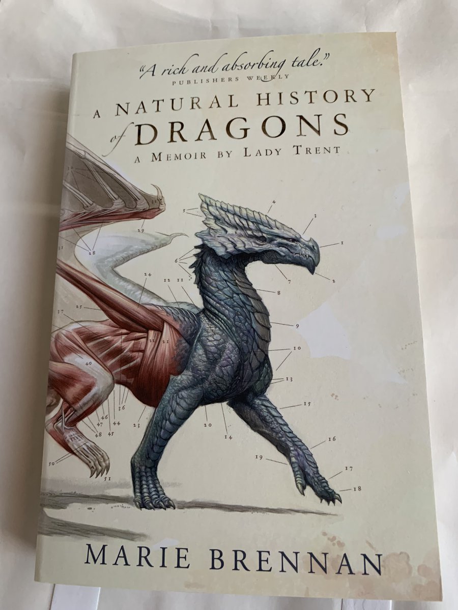 sukubands's tweet image. What are you reading at the moment? Fantasy is my favourite genre. I couldn’t walk past this one! #dragons #anaturalhistoryofdragons #mariebrennan #dragonkin #fantasybooks #fantasybookstagram #fantasybookshelf #imaginationiseverything #keepdreaming #sukubands #wearableart