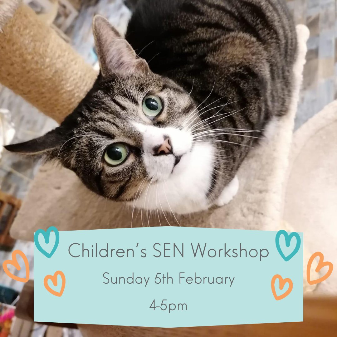 Looking fur some Sunday fun for the kids? Do you have or know anyone who has children with special educational needs? Come join us this Sunday for our Children's SEN Workshop. Book tickets here: pausecatcafe.co.uk/shop/SEN We look furrward to seeing you! #Childrensworkshop #SENkids