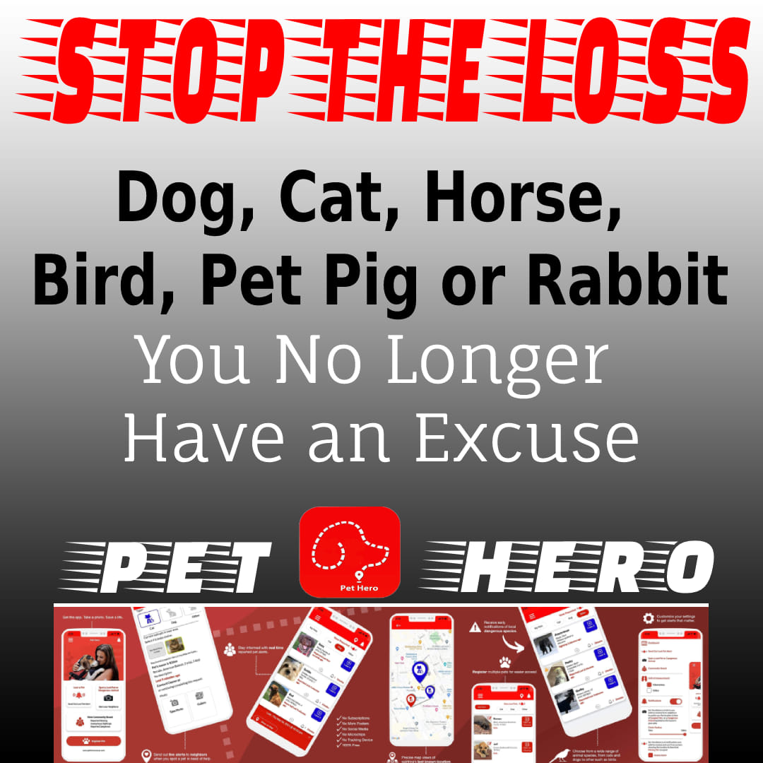 GourmetfoodGirl's tweet image. The number 1 #petsavingapp Pet Hero is ultimate in Pet rescue. No more lost pets when #communities come together for the common good. #lovepets petherorescue.com