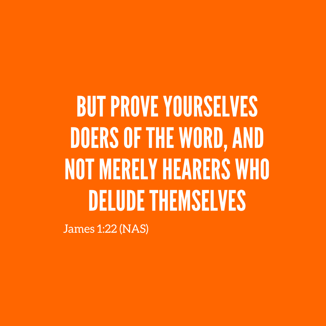 Vineyard N. Phoenix tweet media