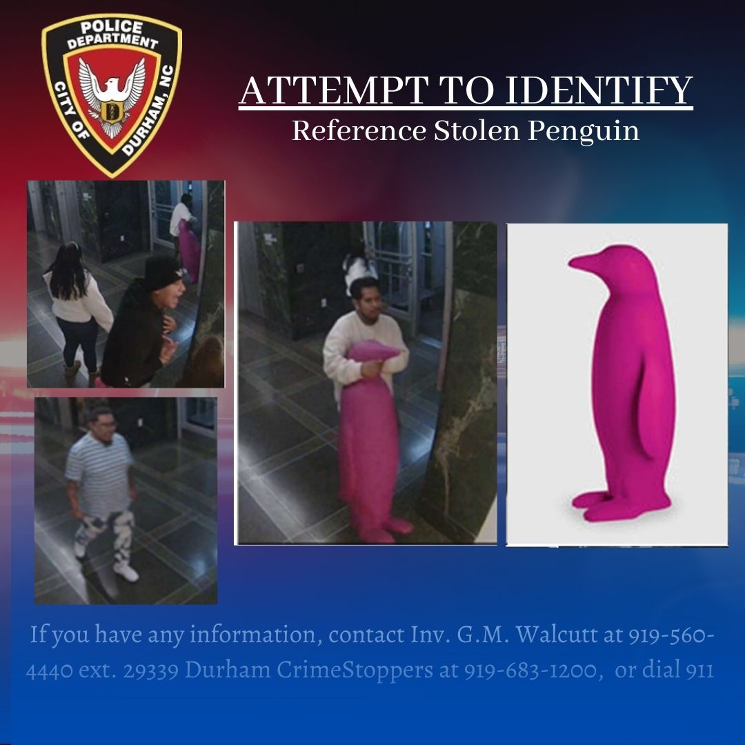 erfaring operatør Stereotype DurhamPoliceNC on Twitter: "DPD investigators are attempting to identify  the individuals involved in the theft of this penguin sculpture. A group  allegedly stole the sculpture from a hotel in the 100 block