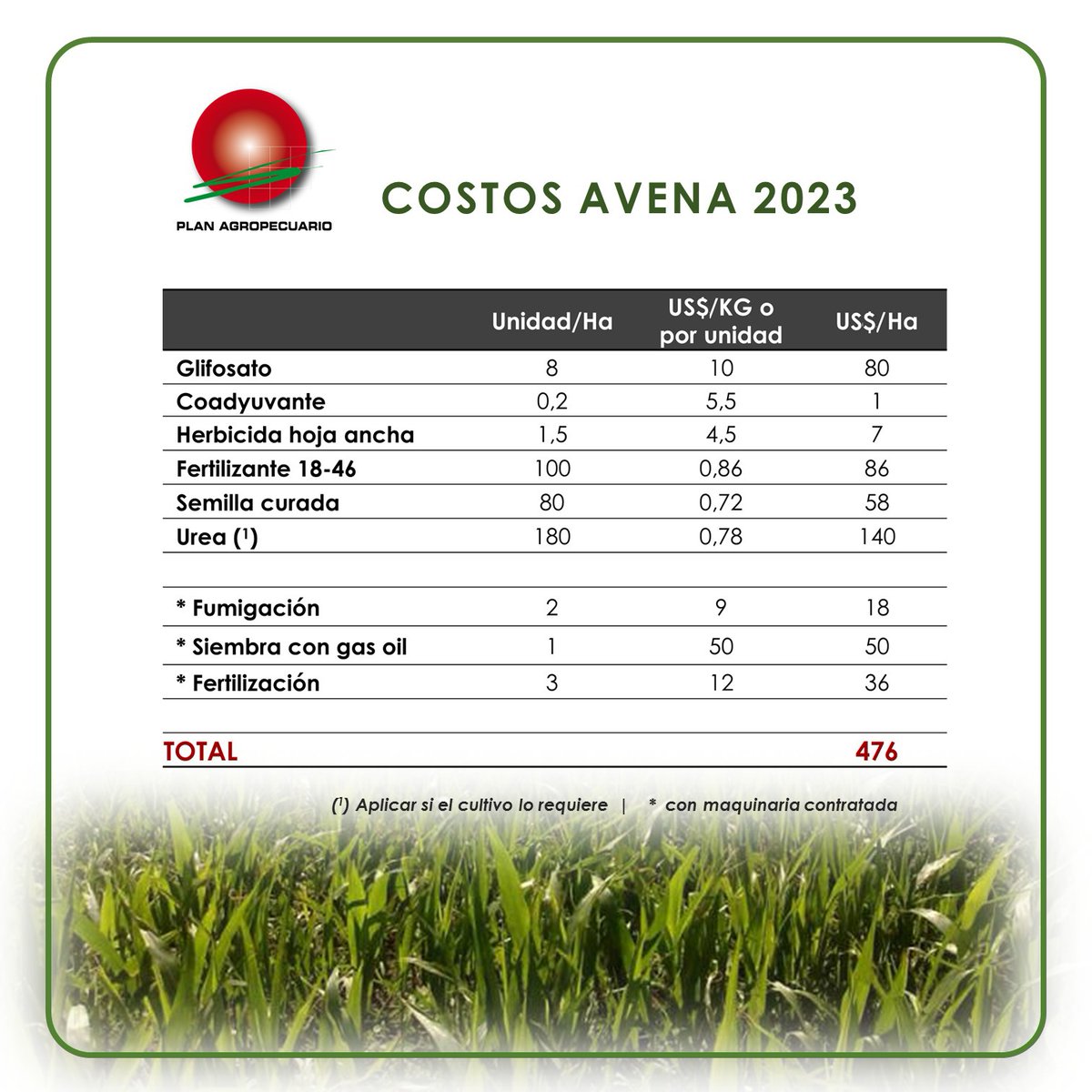 PlanAgro's tweet photo. Qué verdeo #sembrar para producir #pasto
#Tips #PastoreoDirecto #ReservaForrajera #Ganadería #Campo #Forraje #Cultivo #Avena
#Recomendaciones Ing. Perrachon #Colonia #PlanAgro https://t.co/NdLNqdbzu8