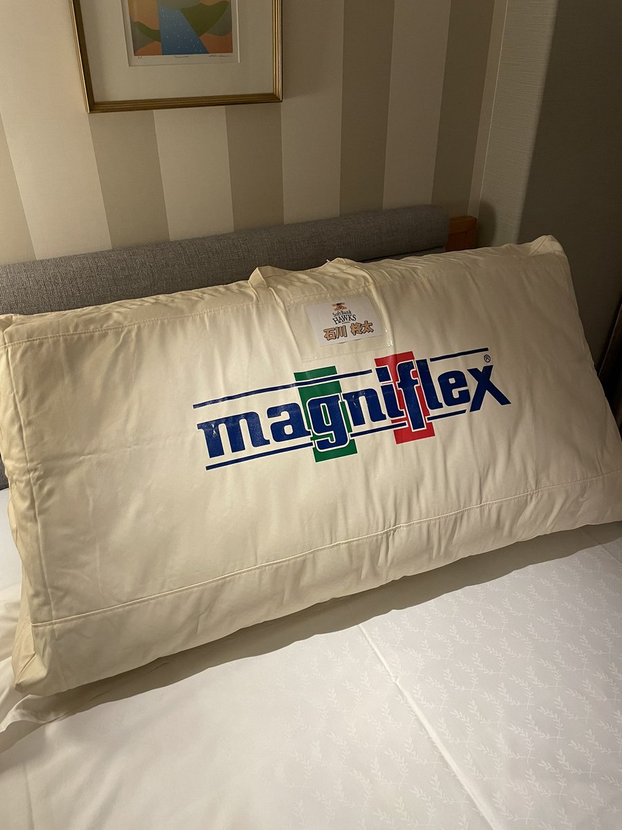 キャンプインに向けて頼もしい助っ人が届きました！

@magniflex_JP 

ありがとうございます☺️

#キャンプ
#福岡ソフトバンクホークス