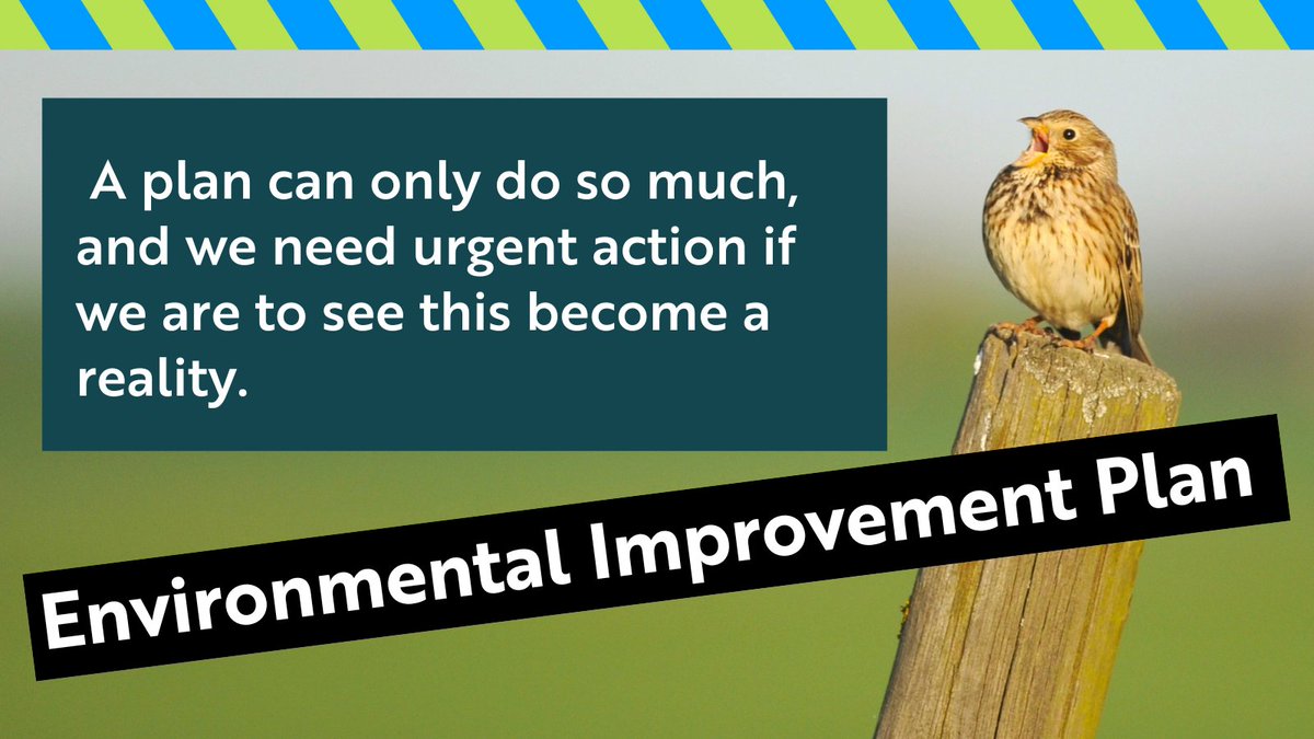 BREAKING: RSPB reaction to @DefraGovUK Environmental Improvement Plan … we are in a nature and climate emergency and time is running out. Words alone won’t fix the problems, we need action … thread ..