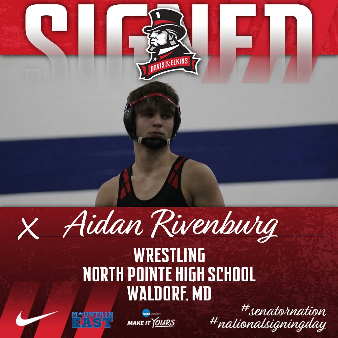 SenatorNation tweet media