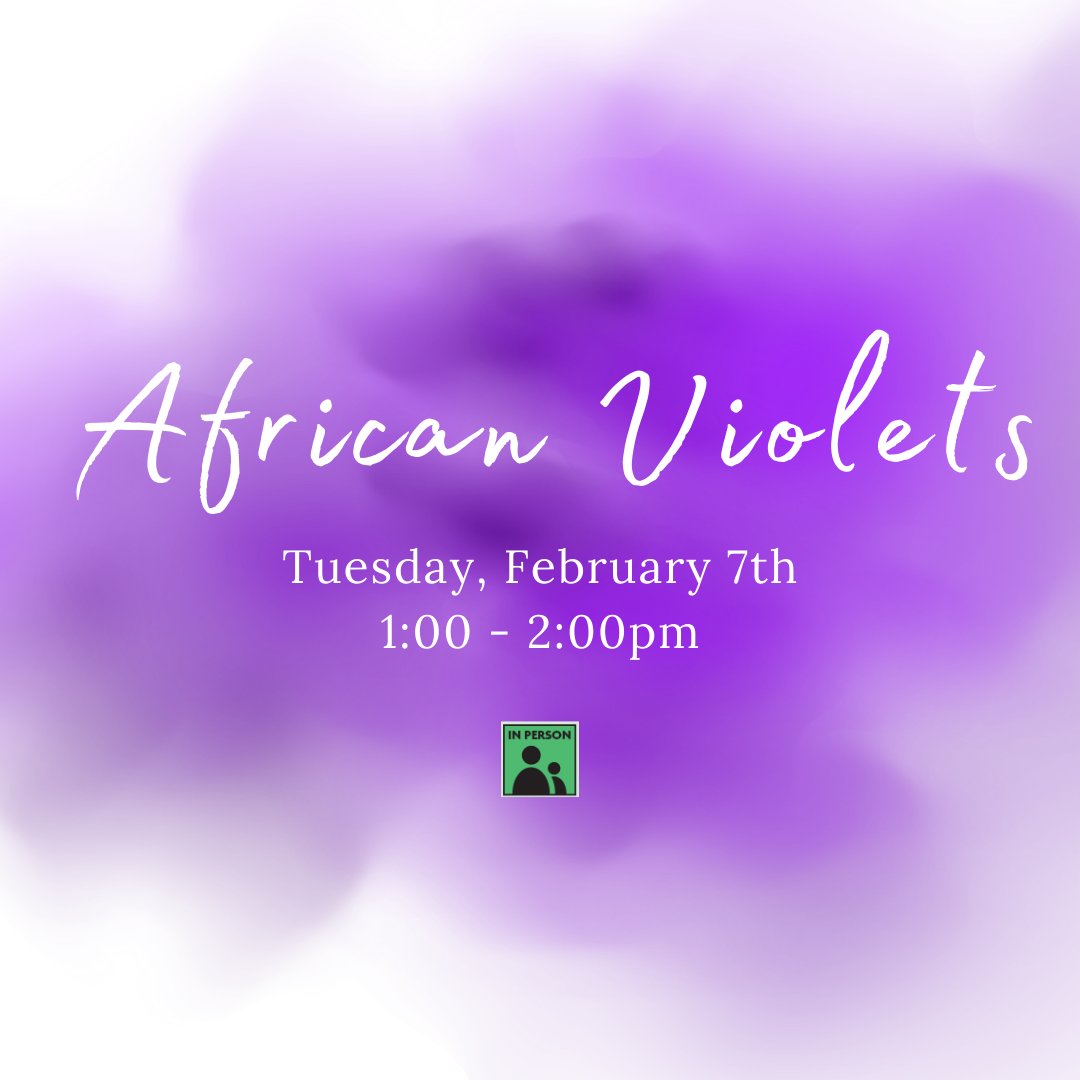 Members of the Sweetwater African Violet Society will discuss all things African Violet including where to get them, tips on how to successfully grow them and why you should show them. Register online: riverhead.librarycalendar.com/event/african-… #africanviolets #gardening