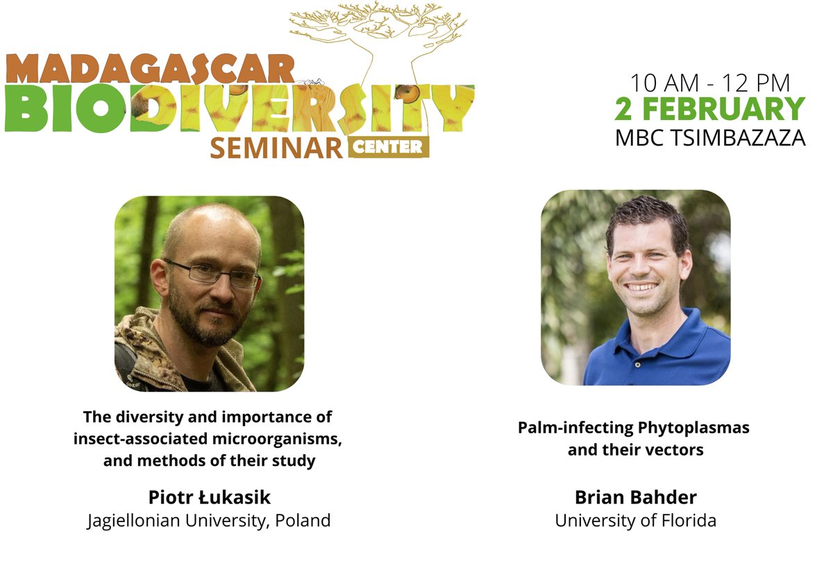 Madagascar Biodiversity Center (@mbc_madagascar) on Twitter photo 🔥Spoiled with two cutting-edge science🔥
On Thursday, <a href="/drPiotrLukasik/">Piotr Łukasik</a> from Poland, and Dr Brian Bahder from the US will talk about #insects #Symbiont #phytoplasma
📆Thursday, February 2nd⏱️ 10AM
📌 MBC Tsimbazaza
Join us it is free 🔥Spoiled with two cutting-edge science🔥
On Thursday, <a href="/drPiotrLukasik/">Piotr Łukasik</a> from Poland, and Dr Brian Bahder from the US will talk about #insects #Symbiont #phytoplasma
📆Thursday, February 2nd⏱️ 10AM
📌 MBC Tsimbazaza
Join us it is free