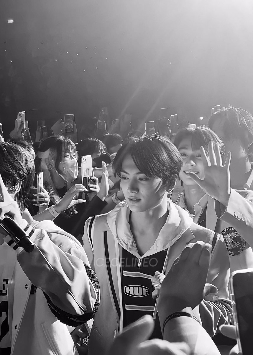 nocontextpjs's tweet photo. he is such a beaut https://t.co/WfaV3dEkWx