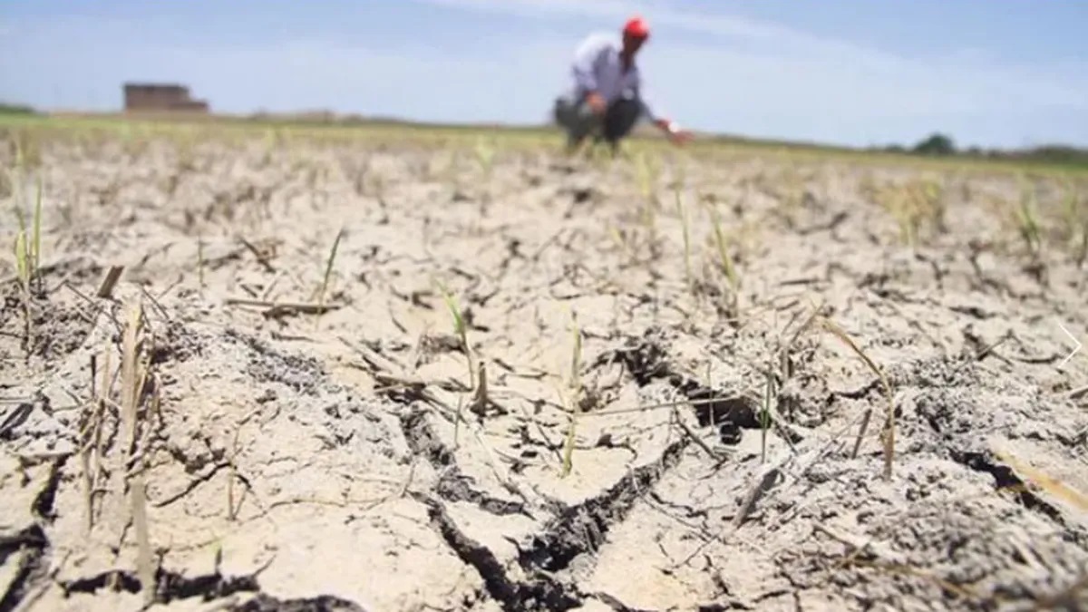 #YlaAgriculturaFamiliarParaCuándo
Hoy se prevé que Massa le entregue a la Mesa de Enlace su propuesta para paliar  la sequía. “Como siempre el Estado Nacional sale a socorrer a los más grandes”, denunció el coordinador del MCL, Raúl Toto Galván.
nuestrapropuesta.org.ar/politica/4915-…