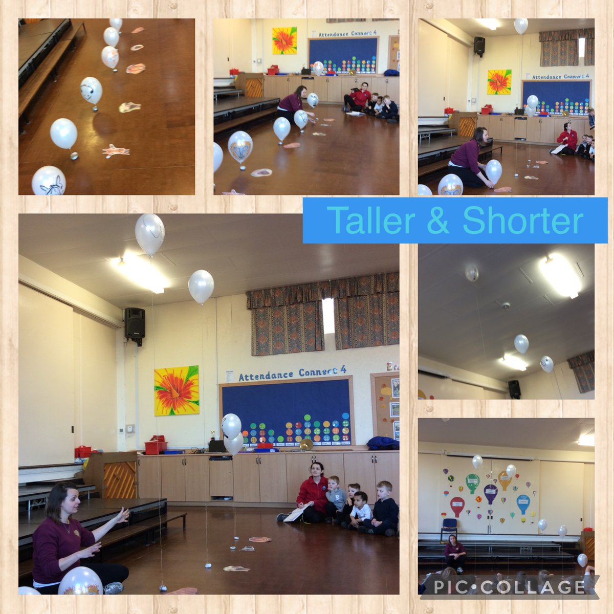We compared the heights of different African animals using helium balloons. Lots of lovely language of measurement. <a href="/RedscopeSchool/">Redscope School</a> @eymaths_karen