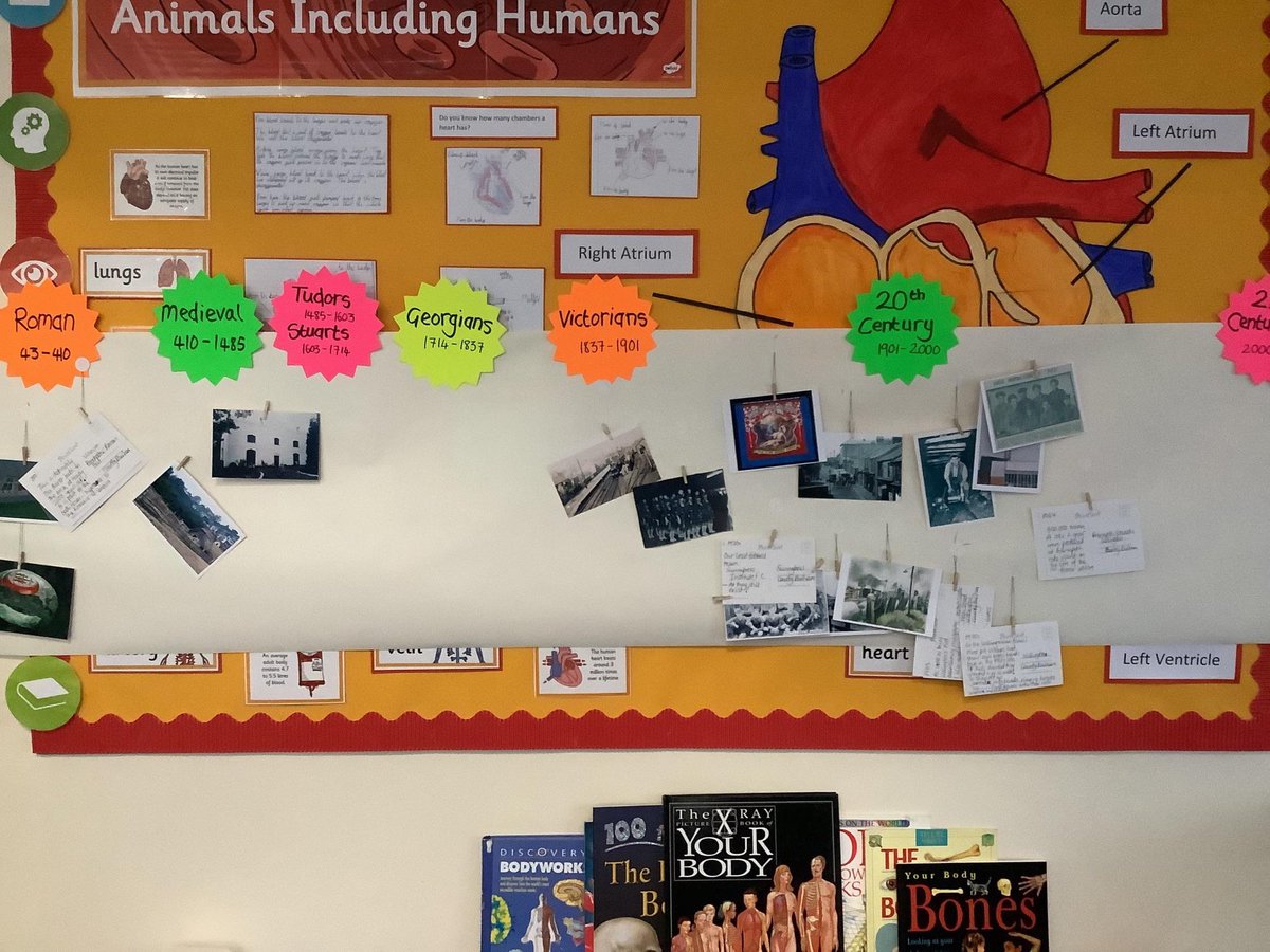 Sunnybrow Primary School tweet media