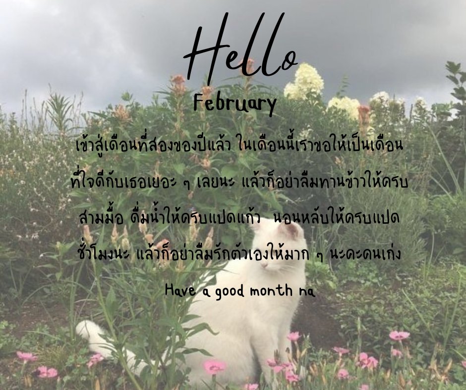 Hello Feb! 🌱🤍